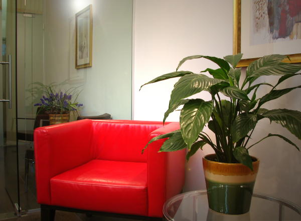 צילומי תדמית למשרד עורכי דין