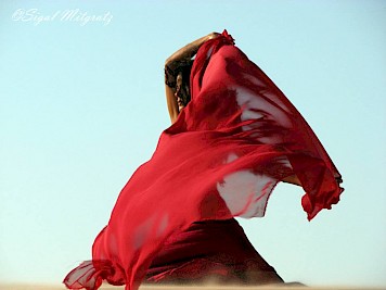 צילומי תדמית לרשת אופנה